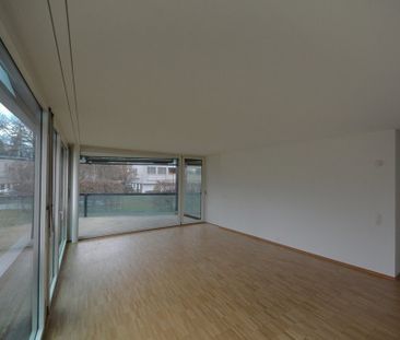 Would you like a home near the Rhine? - Foto 1