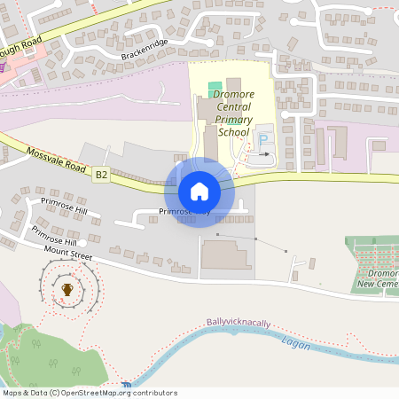 44 Primrose Way, Dromore, BT25 1TL