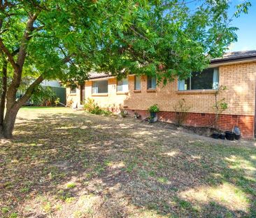 14 Dookie Street, Farrer ACT 2607 - House For Rent | Domain - Photo 5