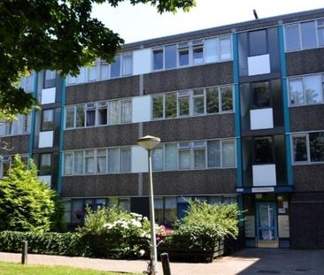 Bramzeilhof 0ong, 1034 Amsterdam, Nederland - Photo 3