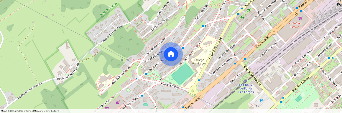 2300, La Chaux-de-Fonds, Rue du Bois-Noir, 41