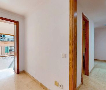 Piso de alquiler en Calle Rei Sanç, Arxiduc - Photo 5