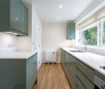 A newly renovated one bedroom apartment - Photo 5