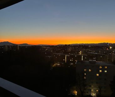 2 Zimmer, 50 m² - Foto 5