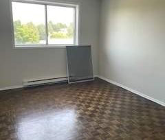 Studio - Gatineau - $1,145 /mo - Photo 1