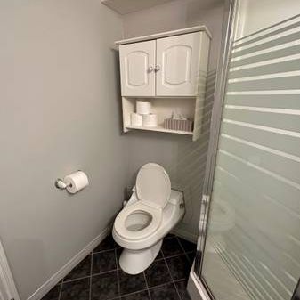 FURNISHED Kitsilano Basement Suite - Photo 3