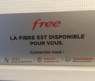 Location / Appartement T1 bis - Photo 5