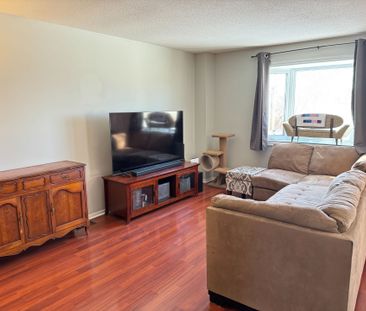 For Lease - 38 Chester Crescent, Barrhaven, Ontario - Photo 3