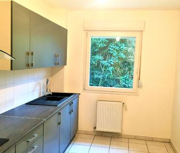 Appartement à louer 3 pièces • Illkirch-Graffenstaden - Photo 5