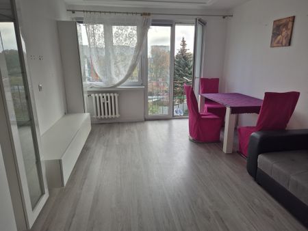 mieszkanie na wynajem Szczecin Pomorzany - Photo 2
