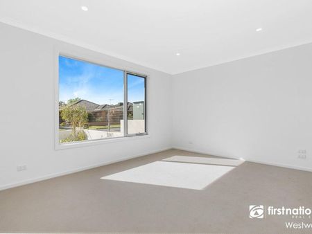 Don't Be Jelly!! - Photo 5