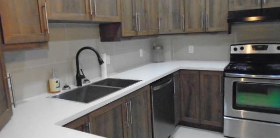 5 ½ rue Papineau Rénové 5 électros inclus Montréal LIBRE - Photo 2