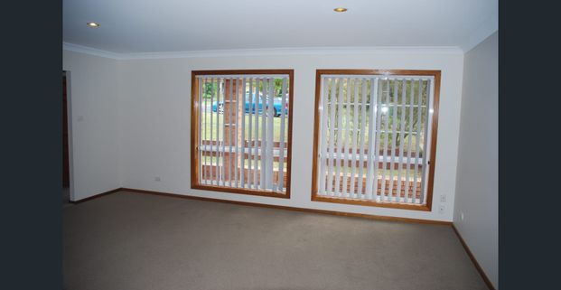 Down by the River - Photo 1