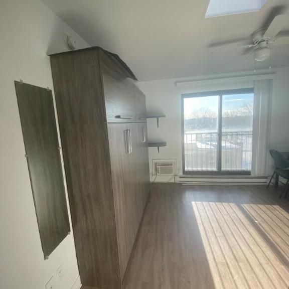 1 1/2 - Montréal (La Petite-Patrie) - 850 $/mois - Photo 1