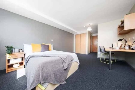 Premium Ensuite - Photo 4