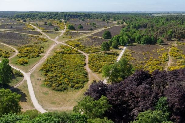 Beschrijving Kolhornseweg - Photo 1