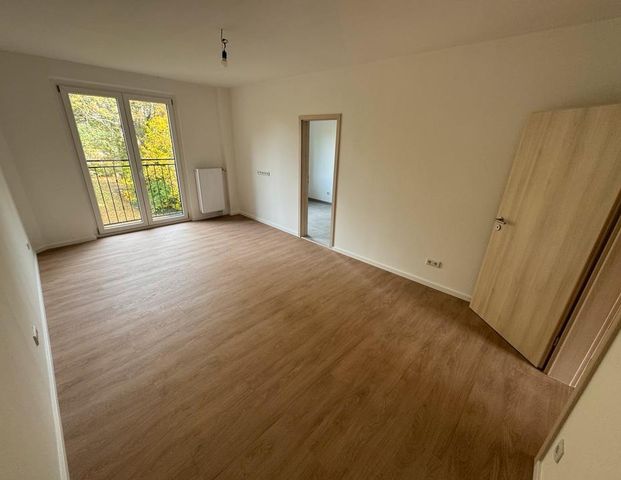 Erstbezug neu sanierte Wohnung 3 Zimmer direkt am Park - Foto 1