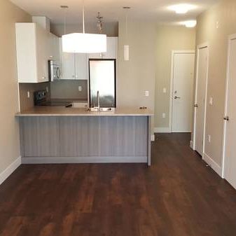 LINDY'S APTS - 406 - L406 - Photo 1