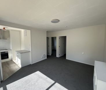 Sunshine in Woodhaugh - Photo 2