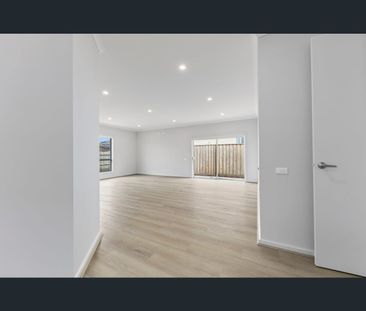 6 Avocet Way, Armstrong Creek, Vic 3217 - Photo 6