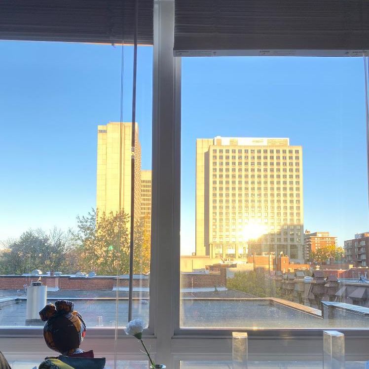 Grand / Big “ 4 1/2 “ au centre ville/ in downtown - Photo 1