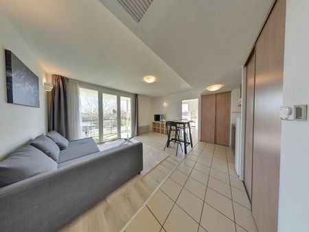 Est de PAU, Haut d'IDRON Appartement récent 2 p Meublé avec Terrasse et Parking privé couvert et sécurisé, - Photo 3