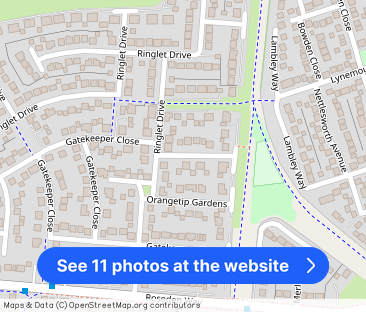 Orangetip Gardens, Newcastle Great Park - Photo 1