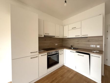 Großzügige 4-Zimmer-Neubauwohnung mit SÜD-Loggia nahe Akademiepark - Photo 3