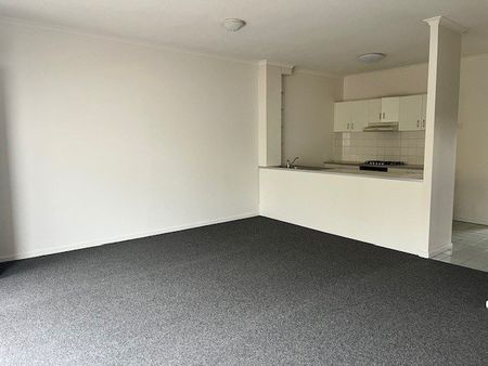 SECLUDED AND SPACIOUS - Photo 4