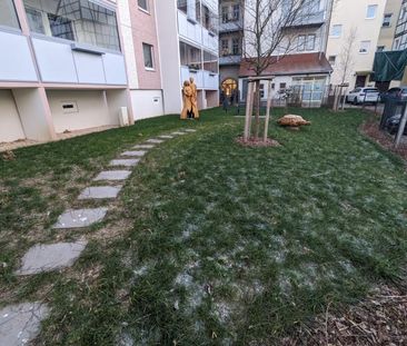 Über den Dächern unserer Stadt! - Foto 1