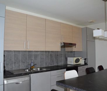 SPACIEUX APPARTEMENT ALTKIRCH - Photo 5