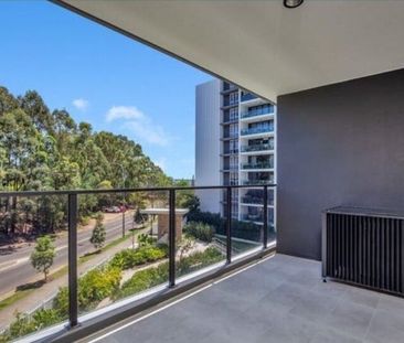 Varsity Lakes - Photo 6