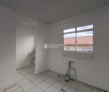 Apartamento com 3 quartos e 55m² para alugar em Igara, Canoas. - Foto 4
