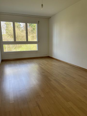 Sonnige 3.5-Zimmerwohnung in Baar zu vermieten - Photo 2