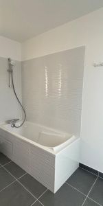 Location Appartement 2 pièces 52m² CHATENAY MALABRY 92290 - Photo 3