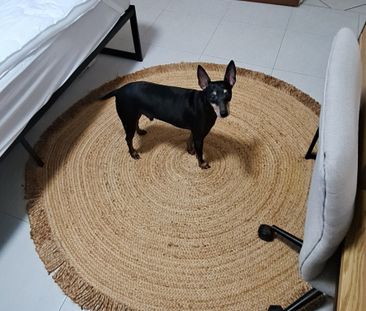 Larrakeyah - Photo 1