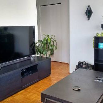 ►►►One Bedroom Apt**Bright**Hardwood Flr* Professional Management►► - Photo 4