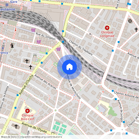 Avenue de Montchoisi 9, 1006 LAUSANNE