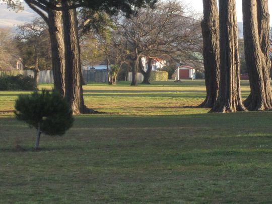 Cute Two Bedroom Unit in a Fantastic Location! - Photo 1