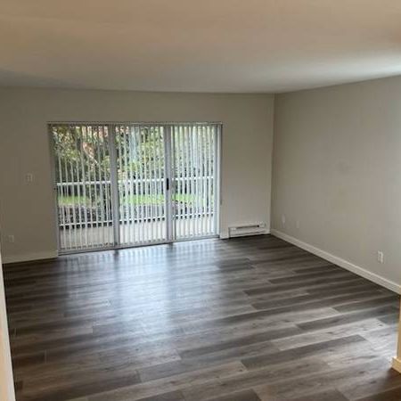 2 bed 1.5 bath availible Oct 15th in beautiful - Photo 3