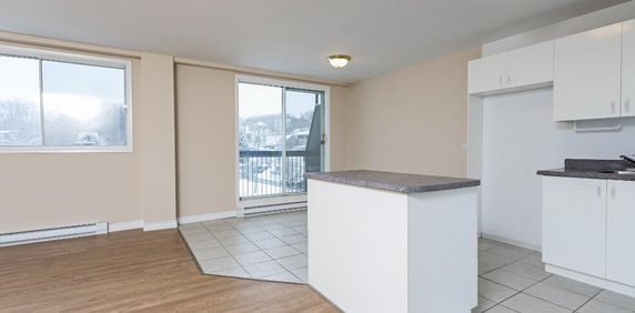 Complexe du Parc | 5 1/2 à Louer | 3 bedrooms apartment for Rent | Sherbrooke - Photo 2