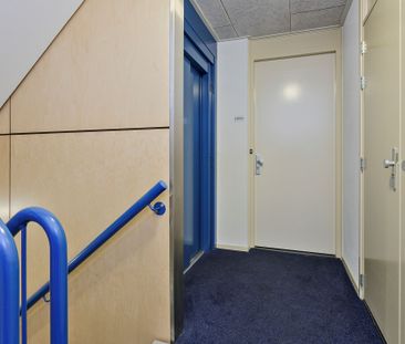 Veldhovenring - Photo 4