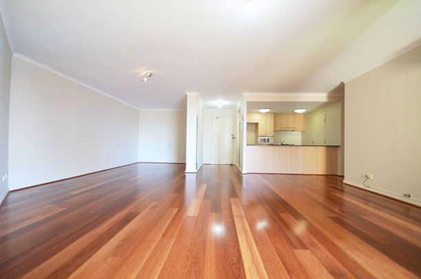 Level8/66 Bowman Street, Pyrmont, NSW 2009 - Photo 1