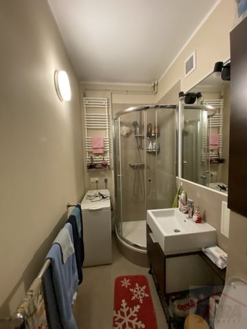 Kawalerka na wynajem w centrum miasta (438817) - Photo 3