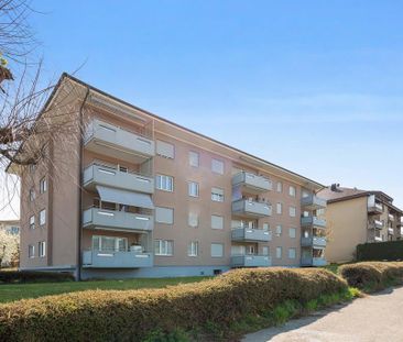 2.5-Zimmer-Wohnung im Hochparterre in Reinach AG - Photo 5