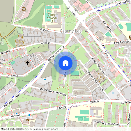 ul. Adolfa Kempnego, Czarny Las, Ruda Śląska, śląskie