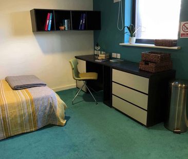 Premier Luxe Studio - Photo 5