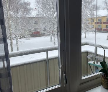 Majvivsgatan, Göteborg - Foto 2