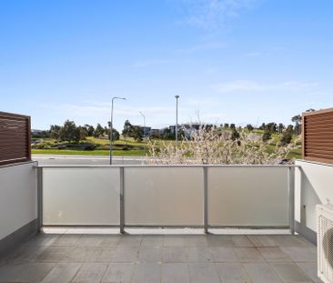 7/815 Horse Park Drive, Amaroo ACT 2914 - Townhouse For Rent | Domain - Photo 2