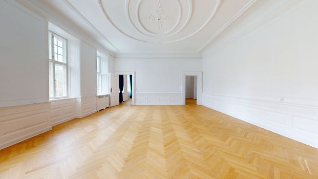 455m² Lejlighed | København K - Foto 1